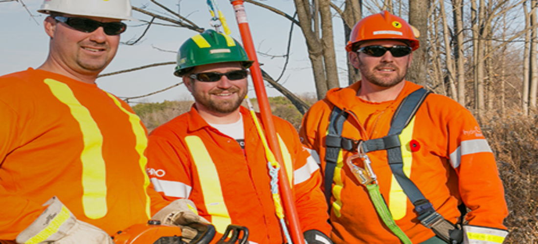 Hiring Hall Member Login Power Workers Union